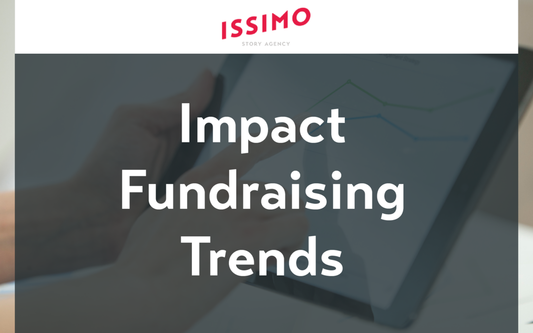 ISSIMO Story Agency | Impact Fundraising Segmentation
